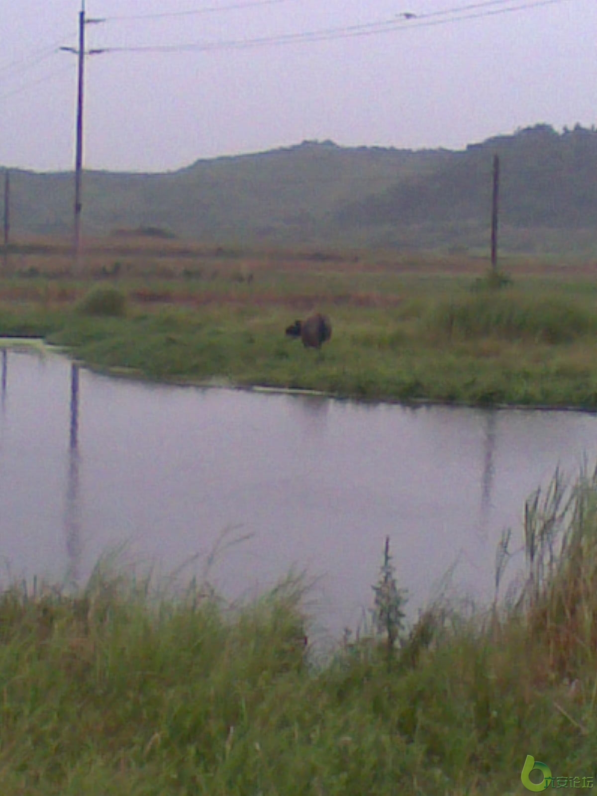 20100625813.jpg