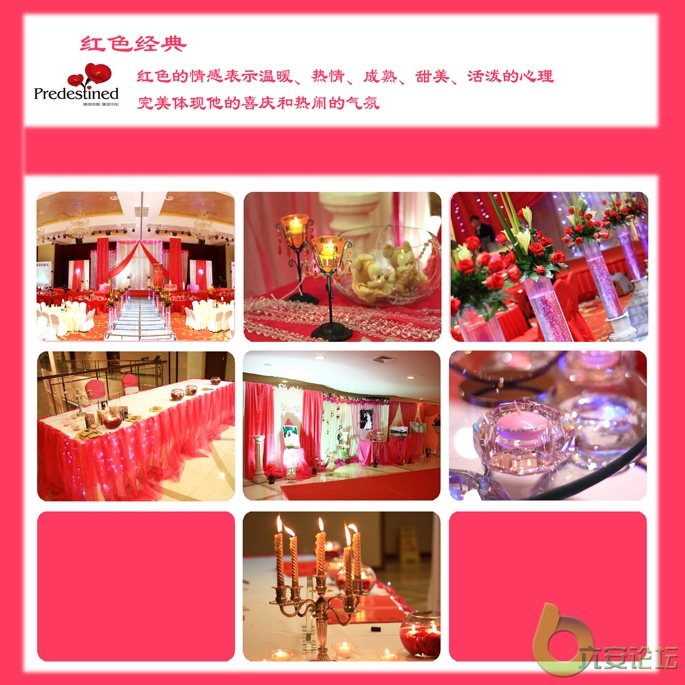 红色背景.jpg