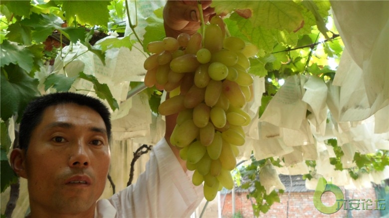 照片 033_副本.jpg