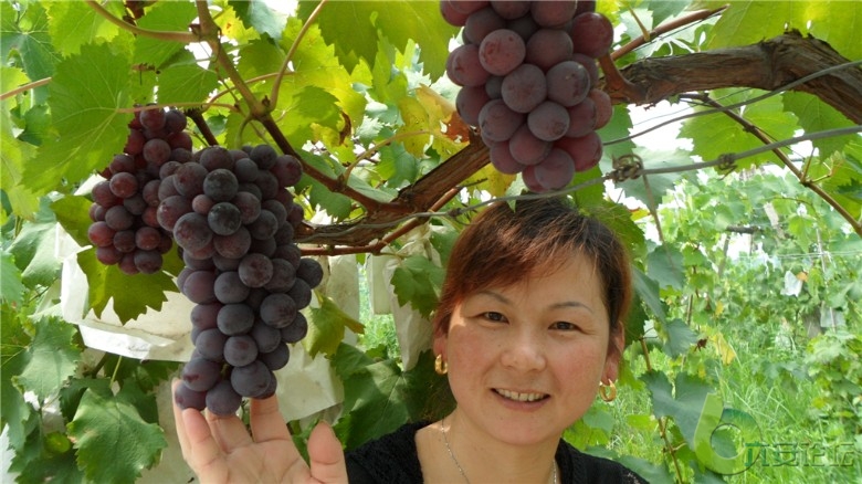 照片 079_副本.jpg