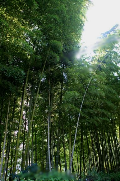 漫水河 124_副本.jpg