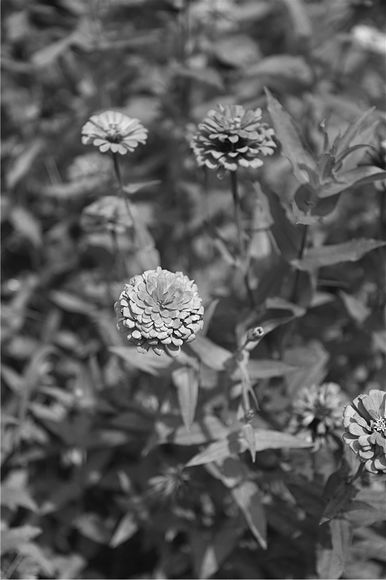 漫水河 149_副本.jpg