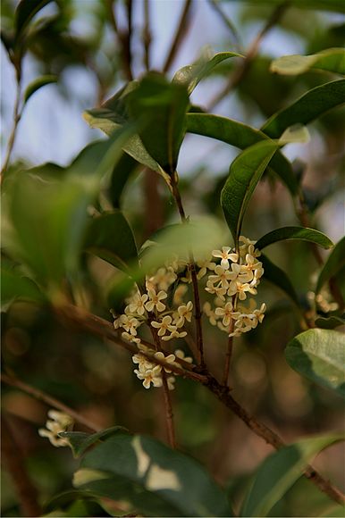 漫水河 151_副本.jpg