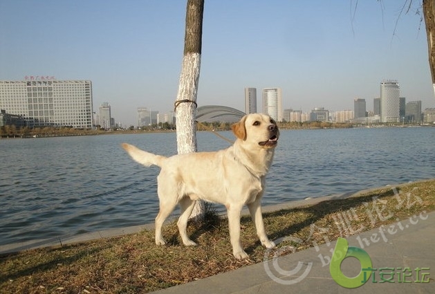 20110106_ffc835172146ffb1de9533mpqQGPMRQN.jpg