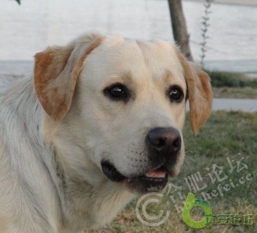 20110106_6c52f3eac989538186eeQrvYxpYlxgv9.jpg