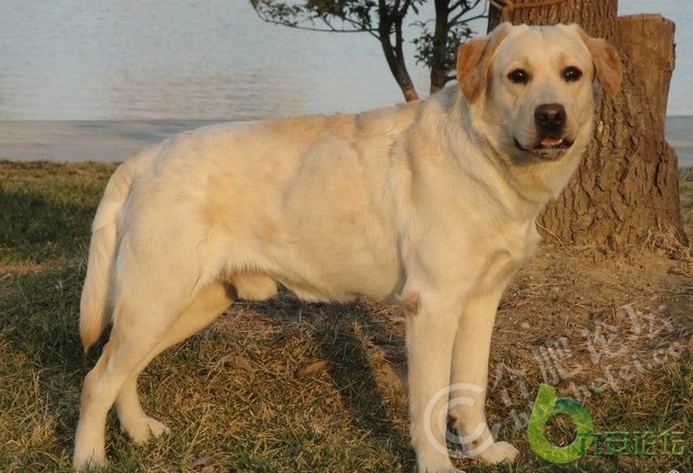 20110106_f9a190aad7a64d92f30267IEfzEIY1yq.jpg
