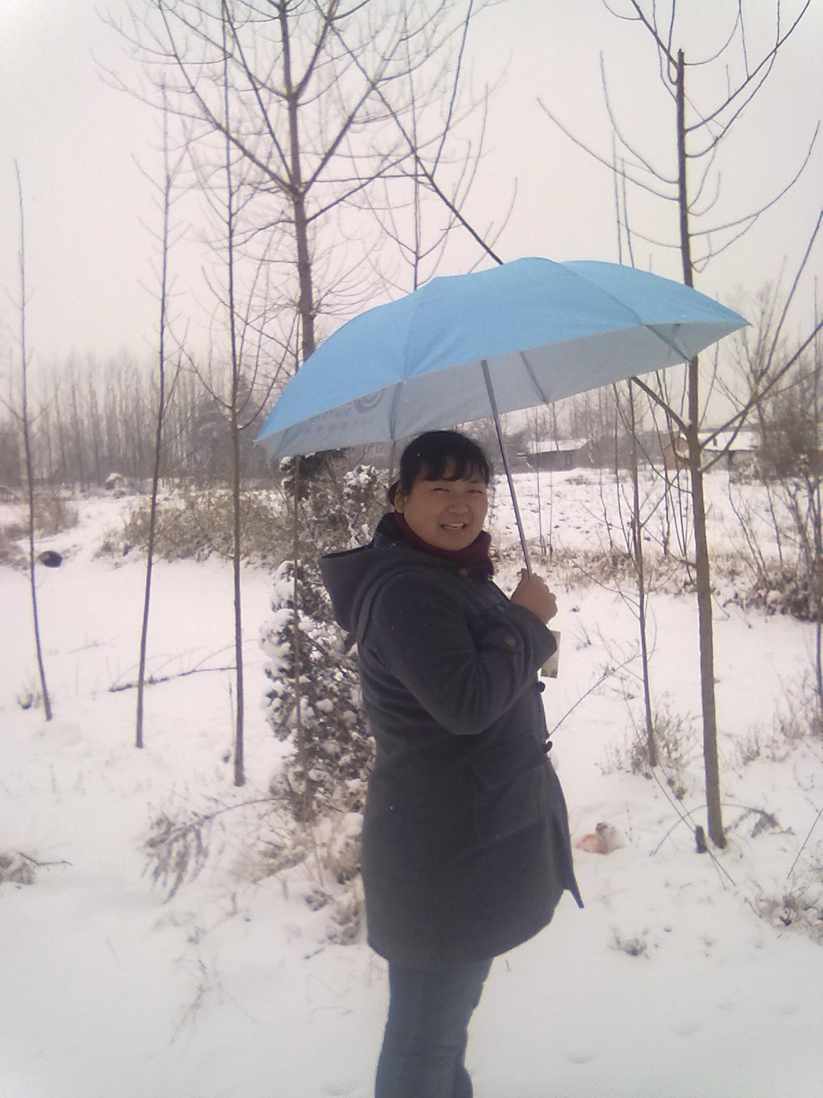20110120269.jpg
