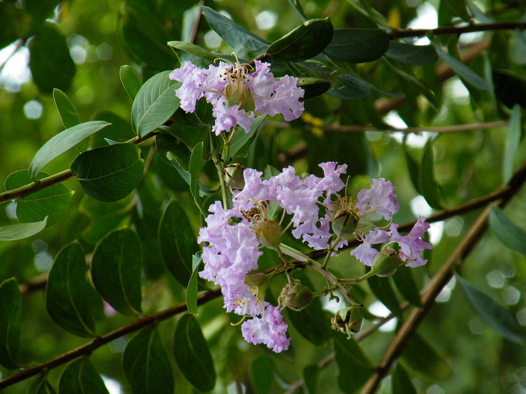 寻友偶得 (3).JPG