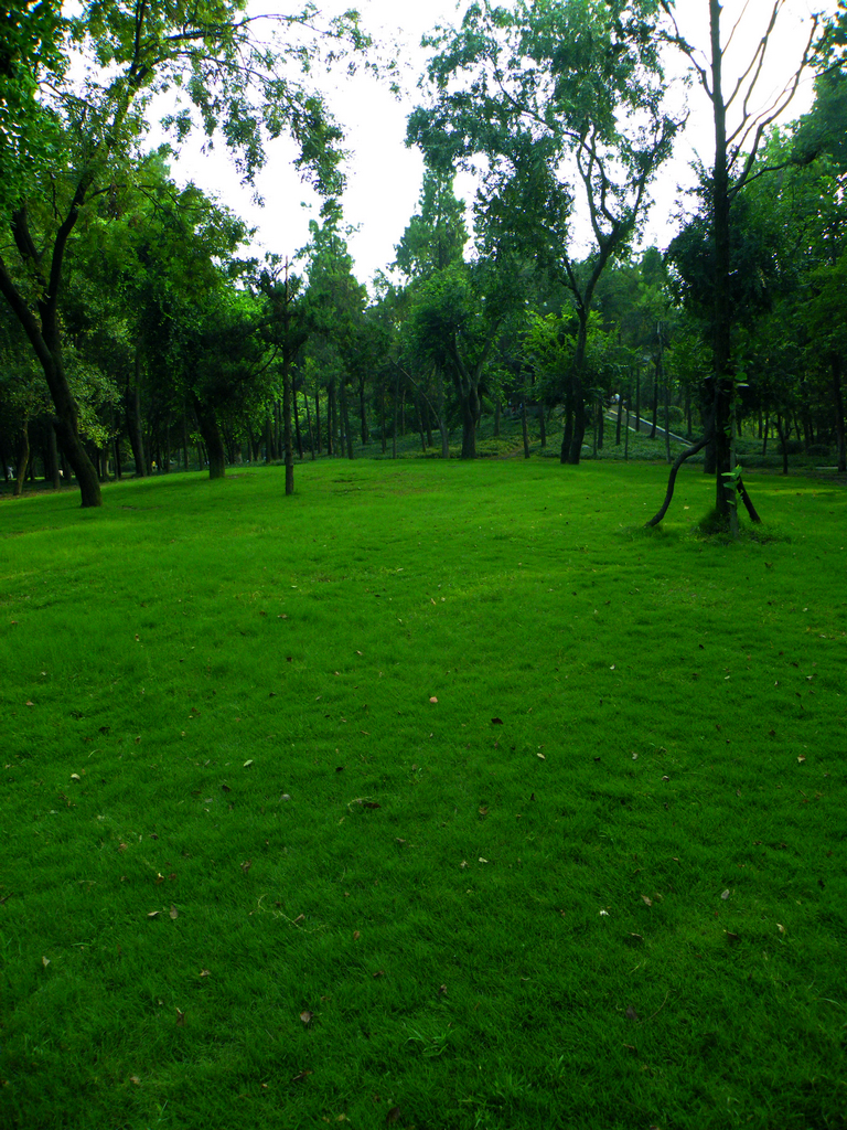 寻友偶得 (2).JPG