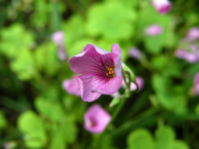 寻友偶得 (7).jpg