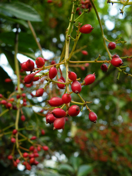 寻友偶得 (8).jpg