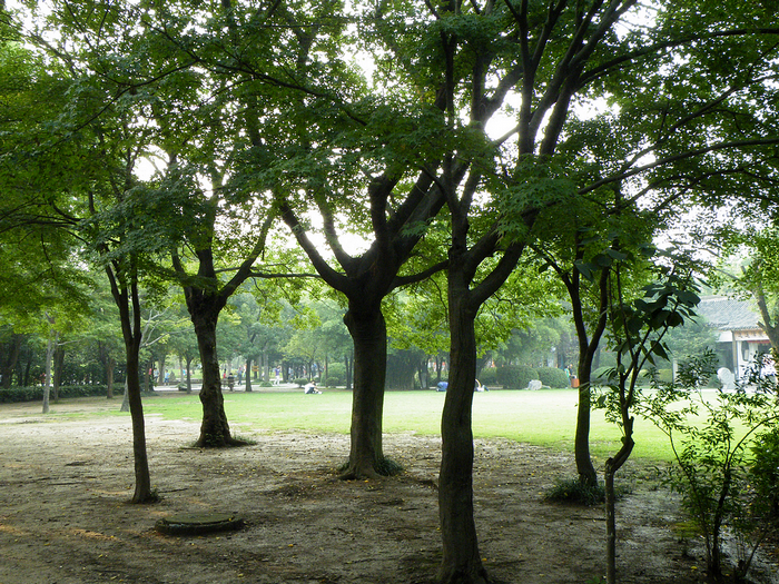 寻友偶得 (9).jpg