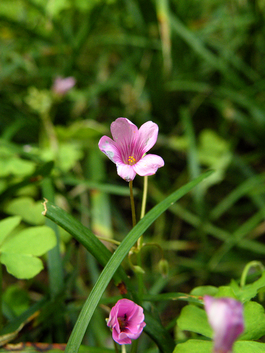 寻友偶得 (6).jpg