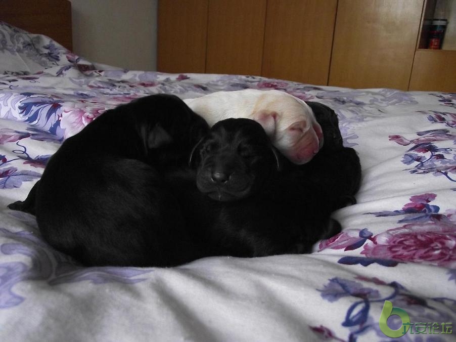 DSCF3074.jpg