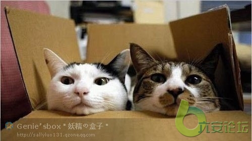 好无聊啊，但是有你陪着好多了。