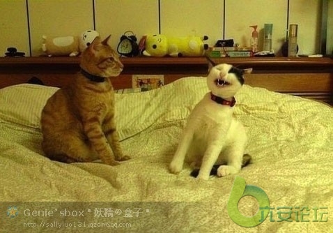 其实我笑的很可爱的。