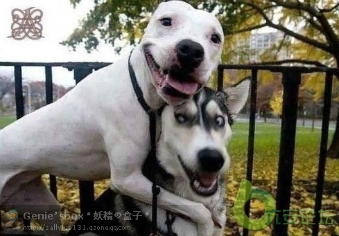 其实我很爱我的朋友的。