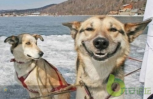 给你一个美好的微笑。