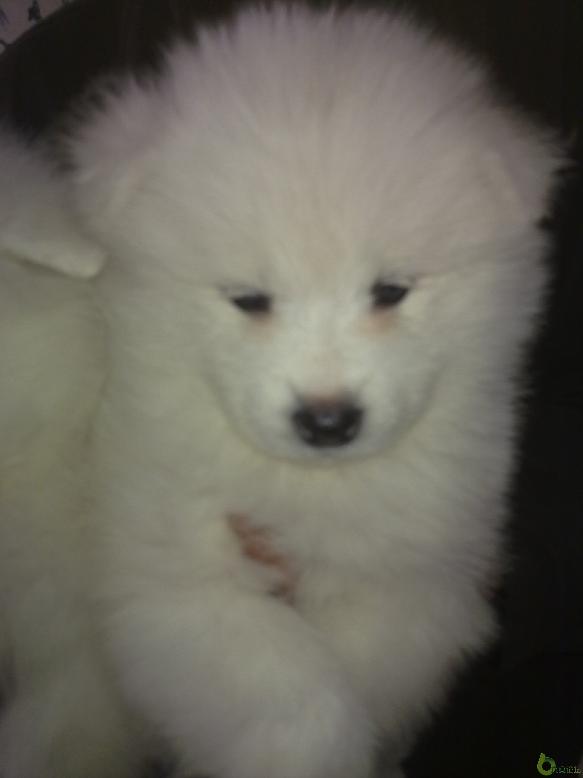 201104011001.jpg