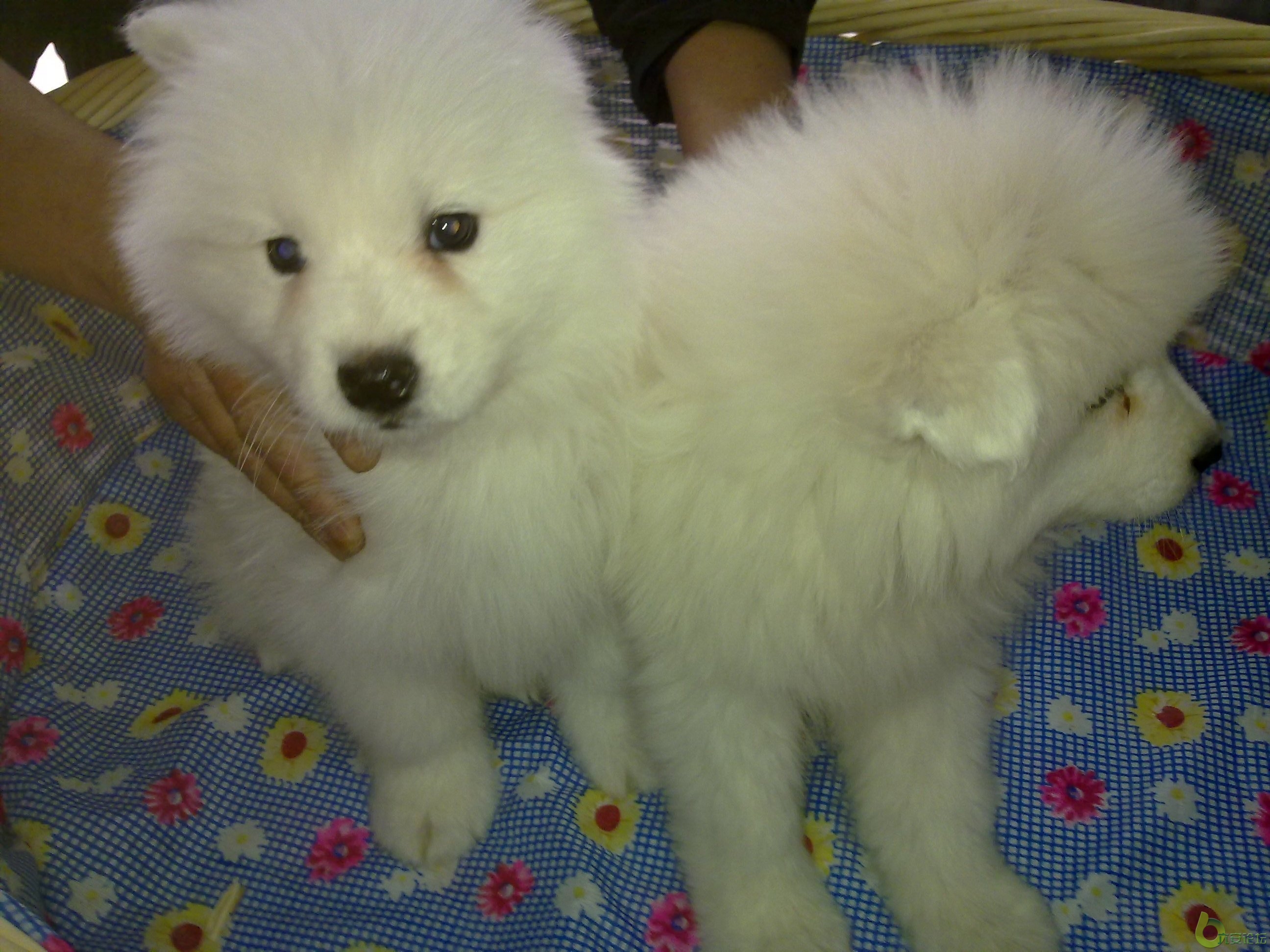 201104011003.jpg