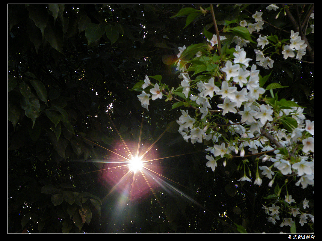 春风吹笑了花儿 (17).JPG